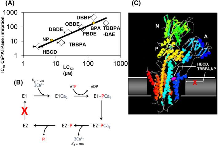 https://cdn.ncbi.nlm.nih.gov/pmc/blobs/64db/11492318/71a7ac39e1aa/FEB4-14-1384-g001.jpg
