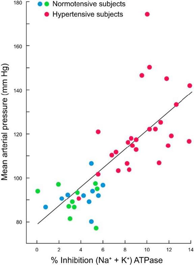 https://cdn.ncbi.nlm.nih.gov/pmc/blobs/64db/12369745/a88092d444f8/ms9-87-4281-g008.jpg