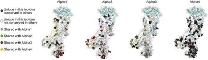 https://cdn.ncbi.nlm.nih.gov/pmc/blobs/64db/12369745/e81bfff24af2/ms9-87-4281-g005.jpg