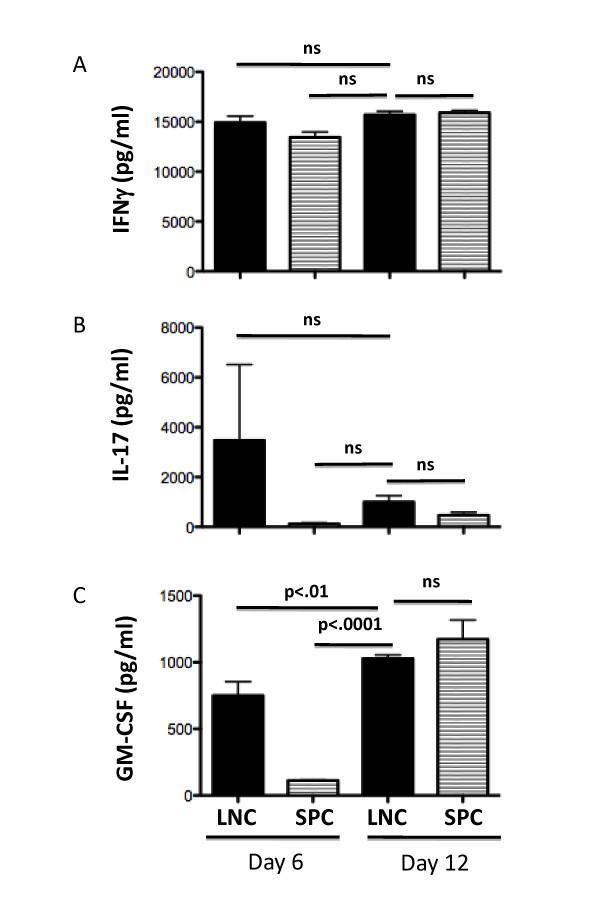 https://cdn.ncbi.nlm.nih.gov/pmc/blobs/64db/3161869/5b942782a958/1742-2094-8-73-5.jpg