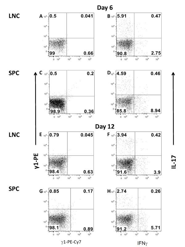 https://cdn.ncbi.nlm.nih.gov/pmc/blobs/64db/3161869/a9fc3418697c/1742-2094-8-73-4.jpg