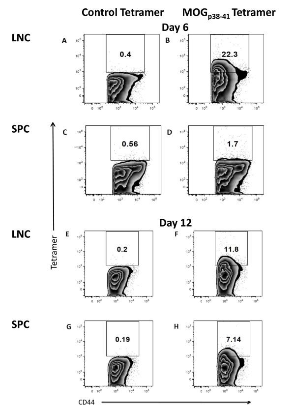 https://cdn.ncbi.nlm.nih.gov/pmc/blobs/64db/3161869/aa472477f67a/1742-2094-8-73-7.jpg