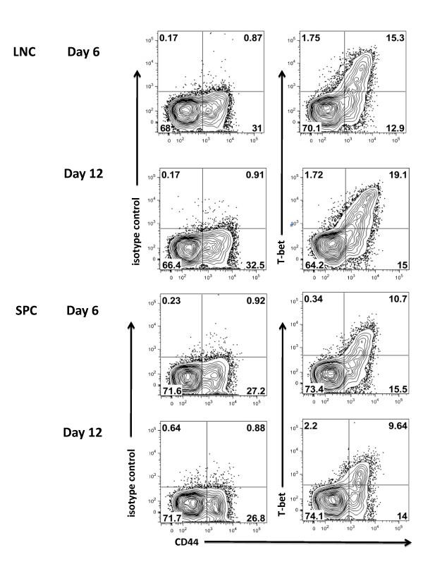 https://cdn.ncbi.nlm.nih.gov/pmc/blobs/64db/3161869/c60493da8b85/1742-2094-8-73-6.jpg