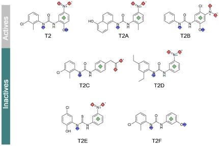 https://cdn.ncbi.nlm.nih.gov/pmc/blobs/64db/3293897/d115cefdf641/pone.0032276.g002.jpg