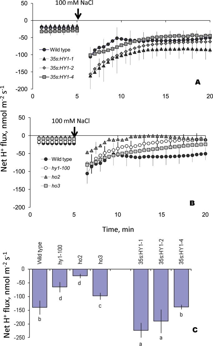 https://cdn.ncbi.nlm.nih.gov/pmc/blobs/64dc/3542042/d6795375277c/exbotj_ers343_f0002.jpg