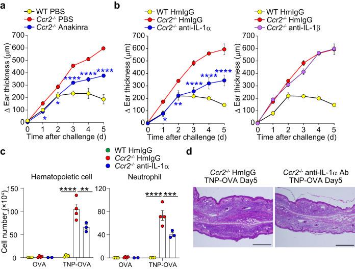 https://cdn.ncbi.nlm.nih.gov/pmc/blobs/64de/10891131/1eafb9860cf8/41467_2024_46148_Fig5_HTML.jpg