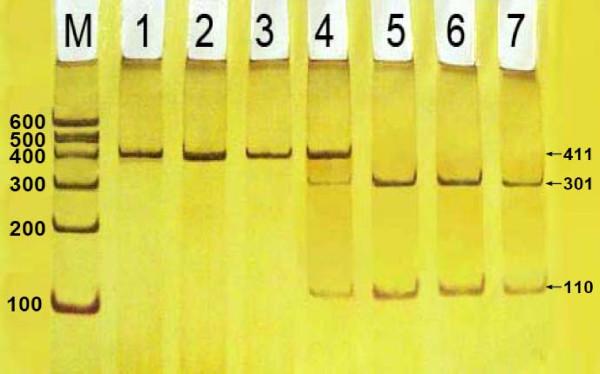 https://cdn.ncbi.nlm.nih.gov/pmc/blobs/64e0/2907871/50b83099cd22/1476-511X-9-28-2.jpg