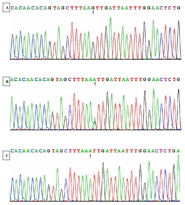 https://cdn.ncbi.nlm.nih.gov/pmc/blobs/64e0/2907871/784140e4a28d/1476-511X-9-28-3.jpg