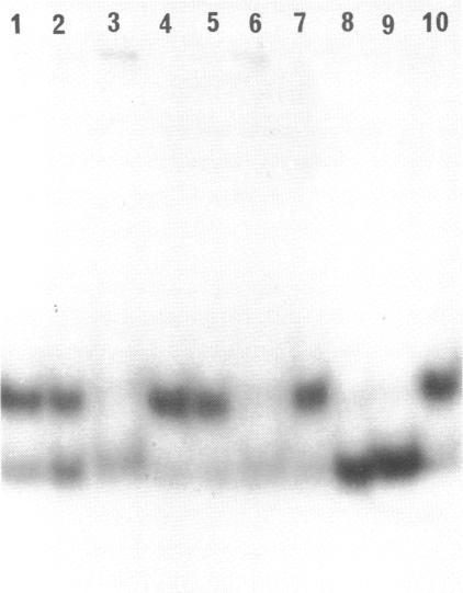 https://cdn.ncbi.nlm.nih.gov/pmc/blobs/64e0/328024/7ba428aa4e31/nar00455-0098-a.jpg