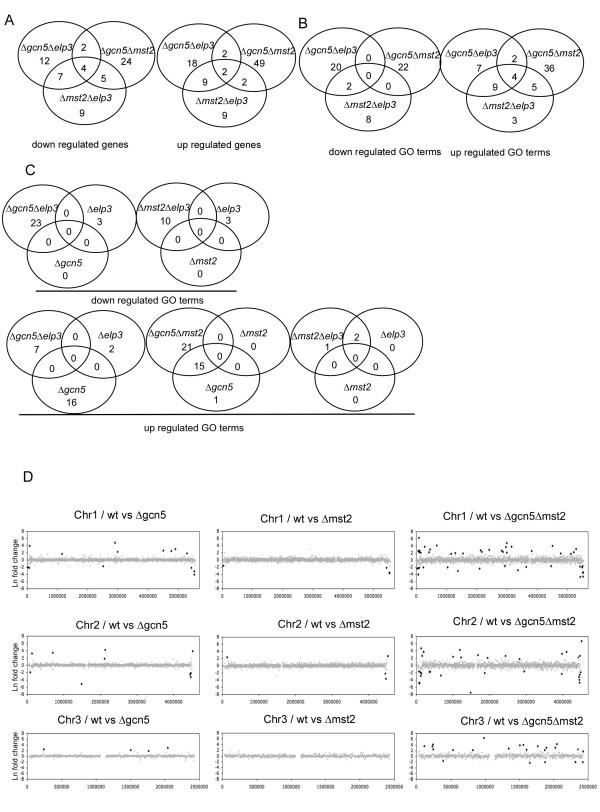 https://cdn.ncbi.nlm.nih.gov/pmc/blobs/64e1/2823694/17f31f21f2de/1471-2164-11-59-2.jpg