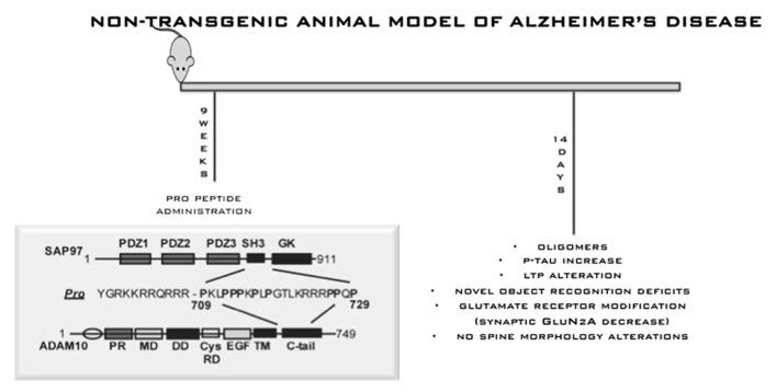 https://cdn.ncbi.nlm.nih.gov/pmc/blobs/64e2/3685797/94a0dcda3e88/fphar-04-00077-g005.jpg