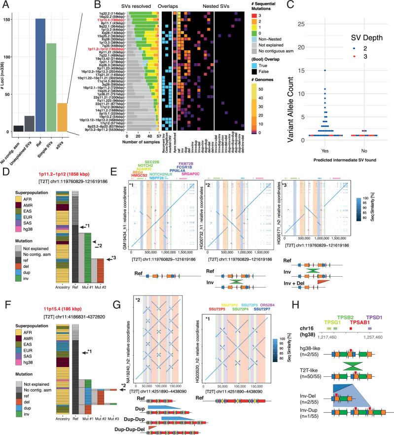 https://cdn.ncbi.nlm.nih.gov/pmc/blobs/64e4/11393467/2eaac67836ff/41467_2024_52027_Fig2_HTML.jpg