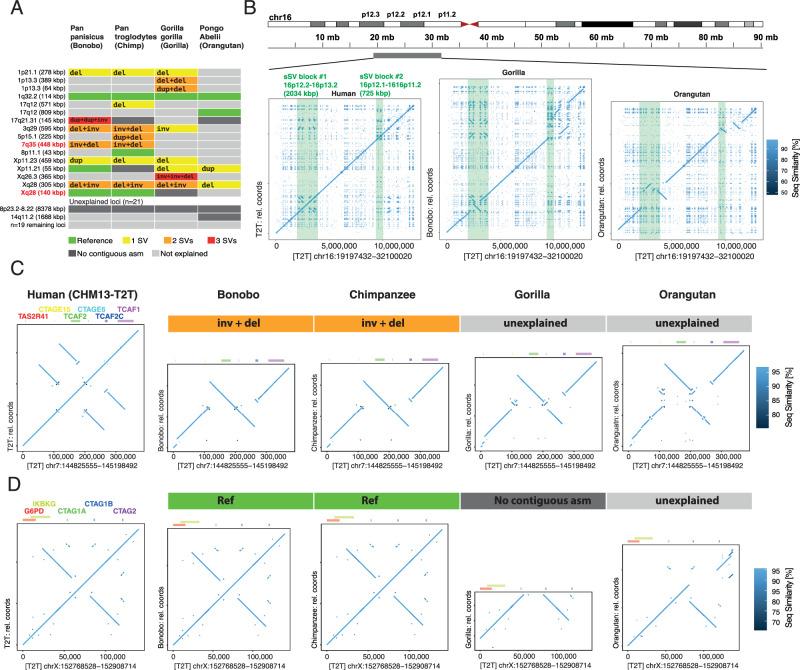 https://cdn.ncbi.nlm.nih.gov/pmc/blobs/64e4/11393467/403f44571ffd/41467_2024_52027_Fig3_HTML.jpg