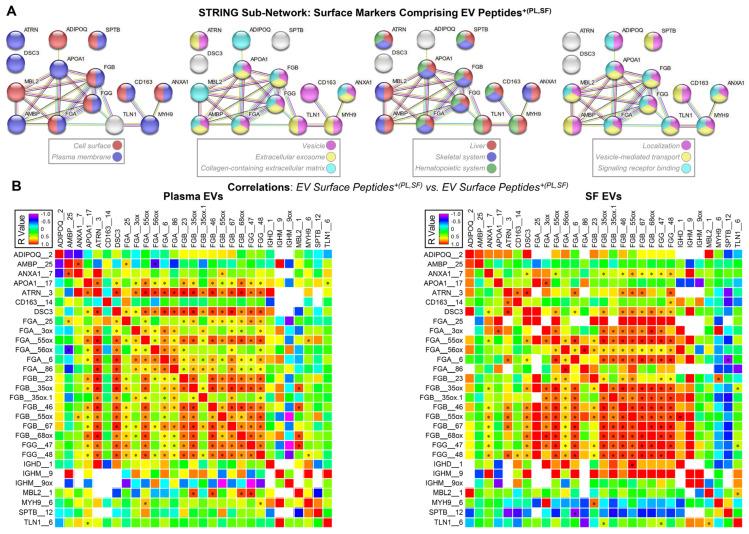 https://cdn.ncbi.nlm.nih.gov/pmc/blobs/64e7/11641473/d40669c23911/ijms-25-12504-g001.jpg