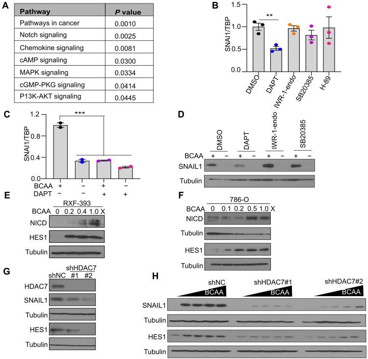 https://cdn.ncbi.nlm.nih.gov/pmc/blobs/64e7/12136004/02bae933a328/sciadv.adt3552-f9.jpg