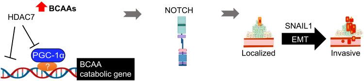 https://cdn.ncbi.nlm.nih.gov/pmc/blobs/64e7/12136004/1413f7bce3fc/sciadv.adt3552-f10.jpg