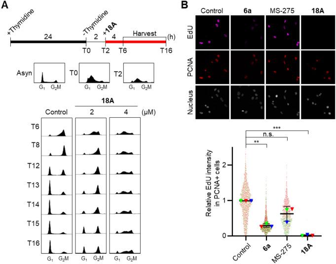 https://cdn.ncbi.nlm.nih.gov/pmc/blobs/64e8/11550225/95f3891987d6/10495_2024_2023_Fig6_HTML.jpg