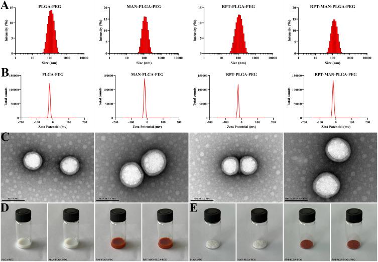 https://cdn.ncbi.nlm.nih.gov/pmc/blobs/64e8/11931292/0b29946dc0e2/DDDT-19-2081-g0003.jpg