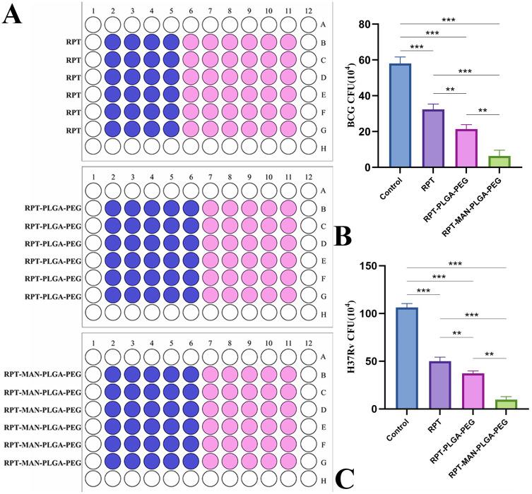 https://cdn.ncbi.nlm.nih.gov/pmc/blobs/64e8/11931292/d262434164b1/DDDT-19-2081-g0007.jpg