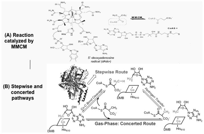 https://cdn.ncbi.nlm.nih.gov/pmc/blobs/64ea/3524299/fcc2d09dab67/pjab-85-167-g008.jpg