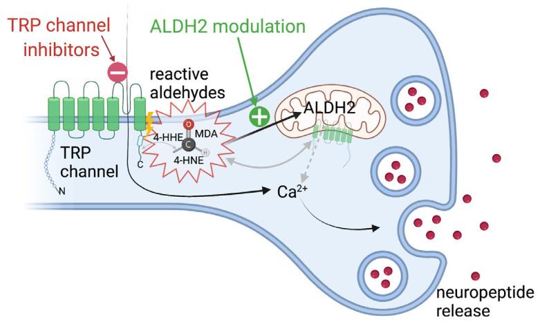 https://cdn.ncbi.nlm.nih.gov/pmc/blobs/64eb/8533644/b6752e9b2408/biomolecules-11-01401-g004.jpg