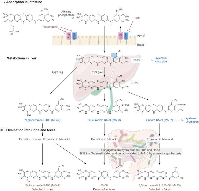 https://cdn.ncbi.nlm.nih.gov/pmc/blobs/64eb/9250994/049fd9d15582/40262_2022_1135_Fig3_HTML.jpg