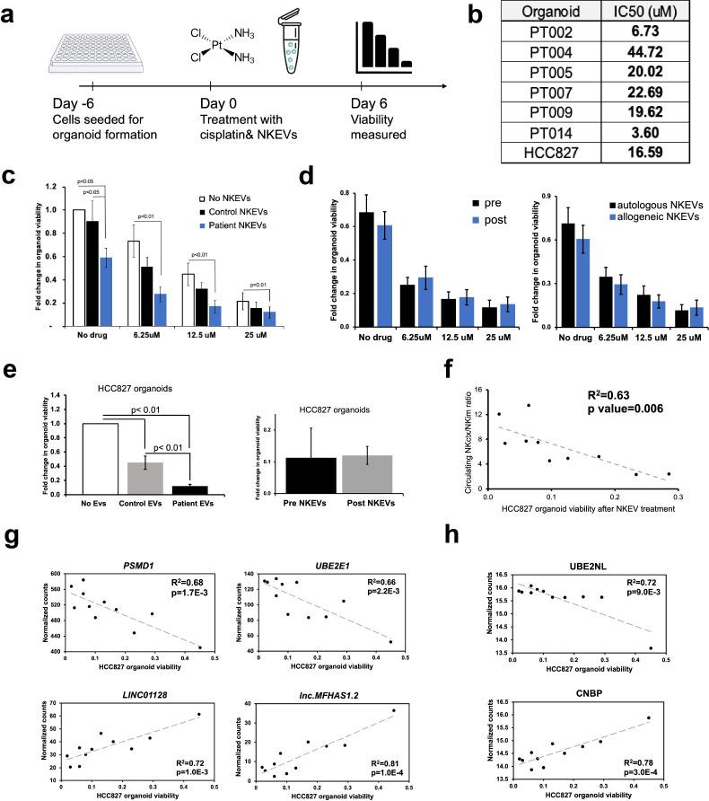 https://cdn.ncbi.nlm.nih.gov/pmc/blobs/64ec/12355224/9d4b947a4dd8/fimmu-16-1633010-g003.jpg