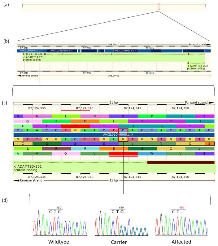 https://cdn.ncbi.nlm.nih.gov/pmc/blobs/64ee/11475510/8585d4cfcfb5/animals-14-02811-g004.jpg