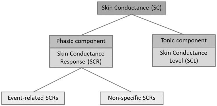 https://cdn.ncbi.nlm.nih.gov/pmc/blobs/64ee/8659871/26a1786f8839/sensors-21-07869-g001.jpg
