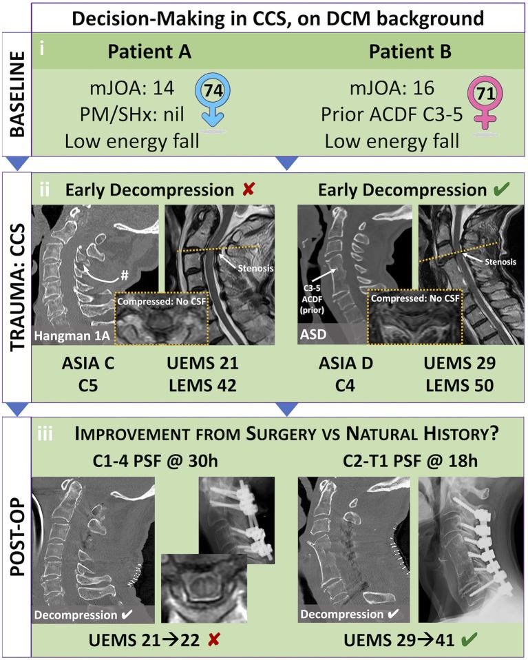 https://cdn.ncbi.nlm.nih.gov/pmc/blobs/64ef/10690824/fed213b646d2/fneur-14-1276399-g0002.jpg