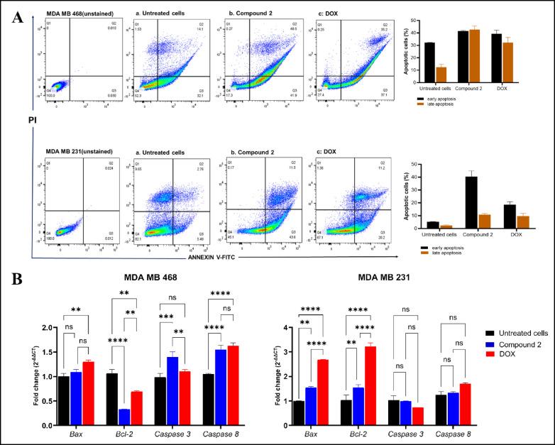 https://cdn.ncbi.nlm.nih.gov/pmc/blobs/64f0/12397266/16a35893858f/41598_2025_16195_Fig1_HTML.jpg