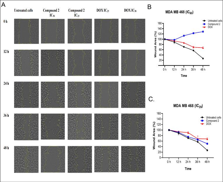 https://cdn.ncbi.nlm.nih.gov/pmc/blobs/64f0/12397266/d362a807a41e/41598_2025_16195_Fig6_HTML.jpg