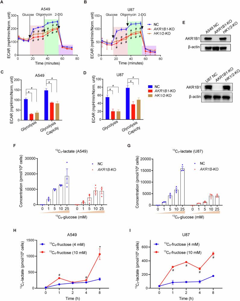 https://cdn.ncbi.nlm.nih.gov/pmc/blobs/64f1/11618507/1904b120b63e/41418_2024_1393_Fig4_HTML.jpg