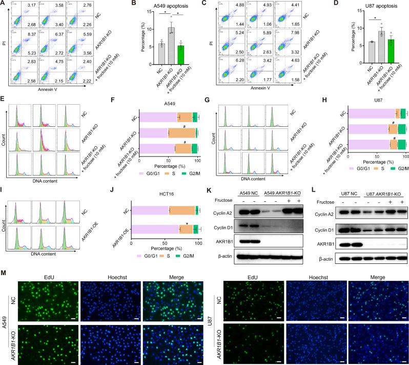 https://cdn.ncbi.nlm.nih.gov/pmc/blobs/64f1/11618507/31dc71cb98e4/41418_2024_1393_Fig6_HTML.jpg