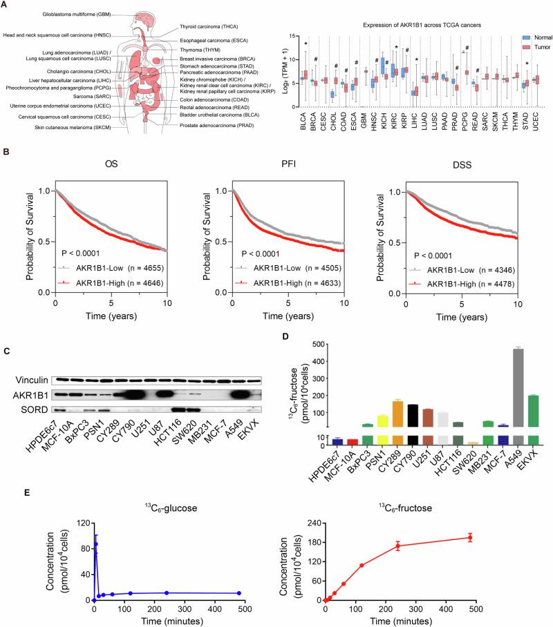 https://cdn.ncbi.nlm.nih.gov/pmc/blobs/64f1/11618507/65df30a3ac8a/41418_2024_1393_Fig1_HTML.jpg