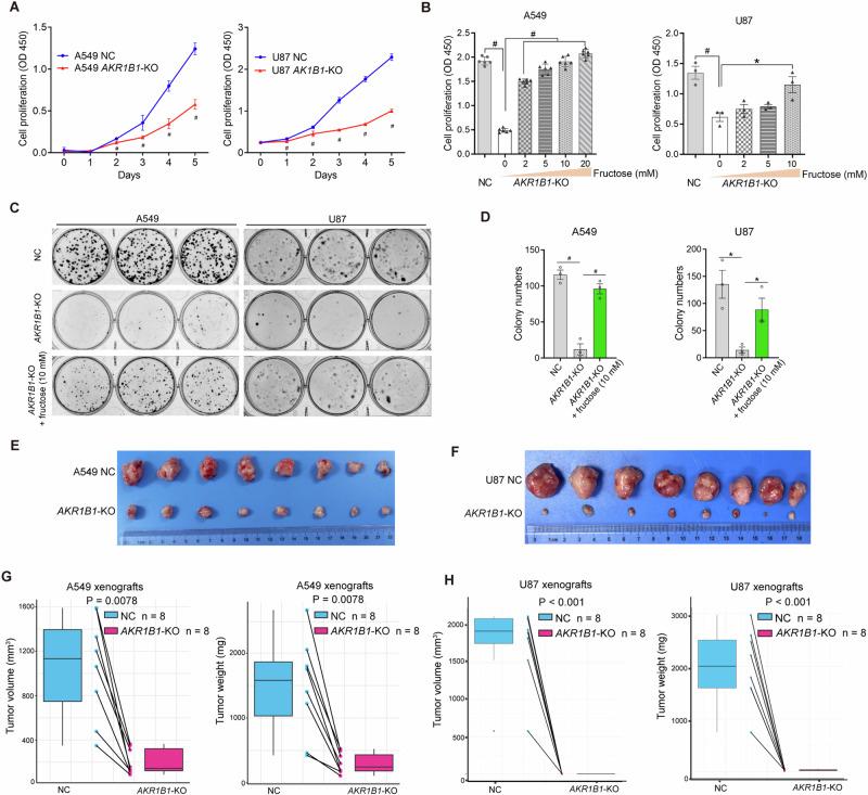 https://cdn.ncbi.nlm.nih.gov/pmc/blobs/64f1/11618507/b801016e108d/41418_2024_1393_Fig5_HTML.jpg