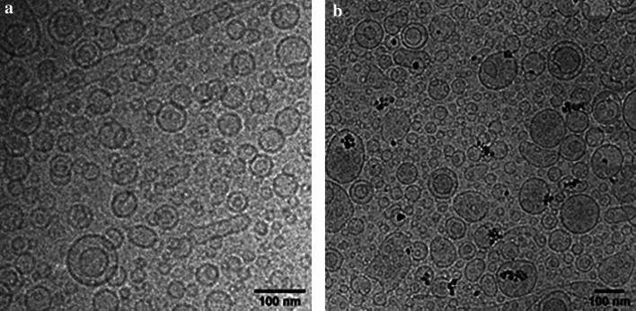 https://cdn.ncbi.nlm.nih.gov/pmc/blobs/64f2/11754809/11ff183d1272/41598_2024_82480_Fig1_HTML.jpg