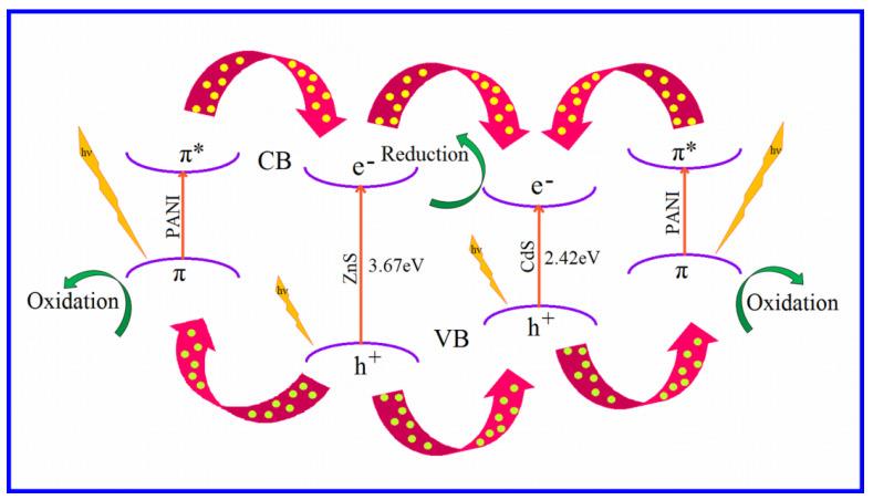 https://cdn.ncbi.nlm.nih.gov/pmc/blobs/64f2/9032629/11cac861062c/nanomaterials-12-01355-g011.jpg