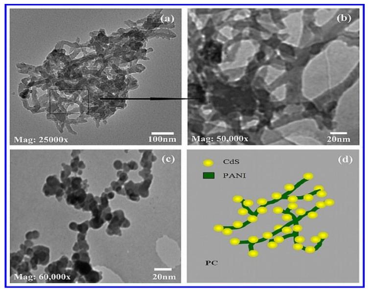 https://cdn.ncbi.nlm.nih.gov/pmc/blobs/64f2/9032629/50fd2cb451be/nanomaterials-12-01355-g004.jpg