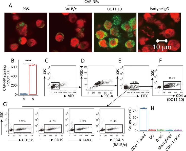 https://cdn.ncbi.nlm.nih.gov/pmc/blobs/64f3/11444059/637649dfc156/IJN-19-9961-g0002.jpg