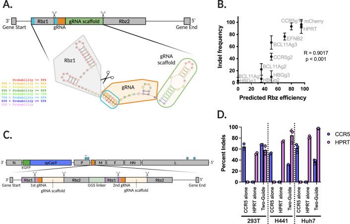 https://cdn.ncbi.nlm.nih.gov/pmc/blobs/64f3/11650993/bf39422379df/jvi.00832-24.f003.jpg