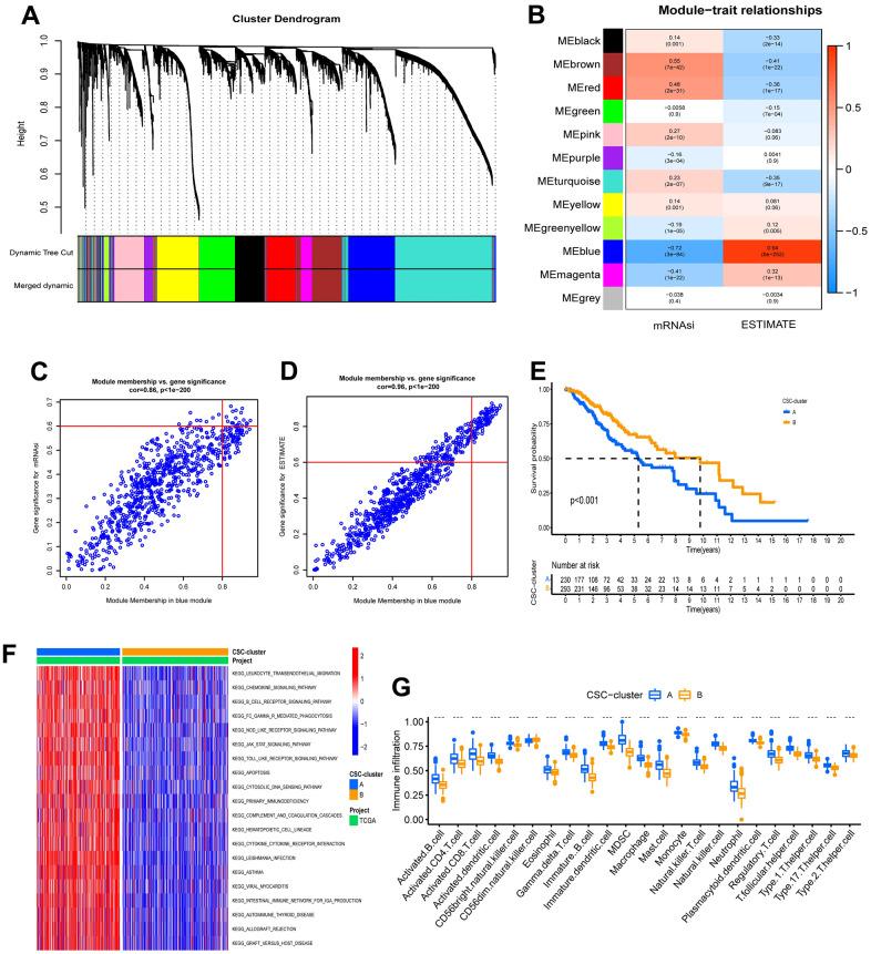 https://cdn.ncbi.nlm.nih.gov/pmc/blobs/64f4/10188348/1b7616645498/aging-15-204650-g003.jpg