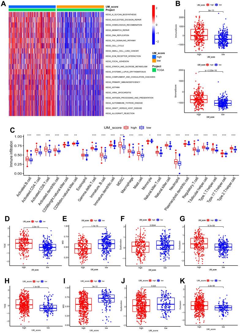 https://cdn.ncbi.nlm.nih.gov/pmc/blobs/64f4/10188348/84f270b1497f/aging-15-204650-g006.jpg