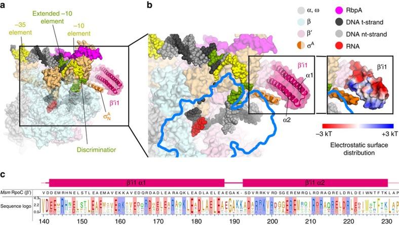 https://cdn.ncbi.nlm.nih.gov/pmc/blobs/64f4/5511352/165725c17c7b/ncomms16072-f4.jpg