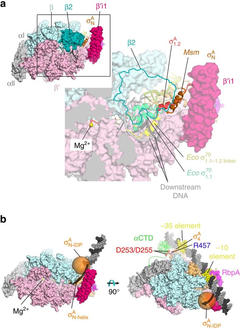 https://cdn.ncbi.nlm.nih.gov/pmc/blobs/64f4/5511352/3b53bb355aed/ncomms16072-f6.jpg