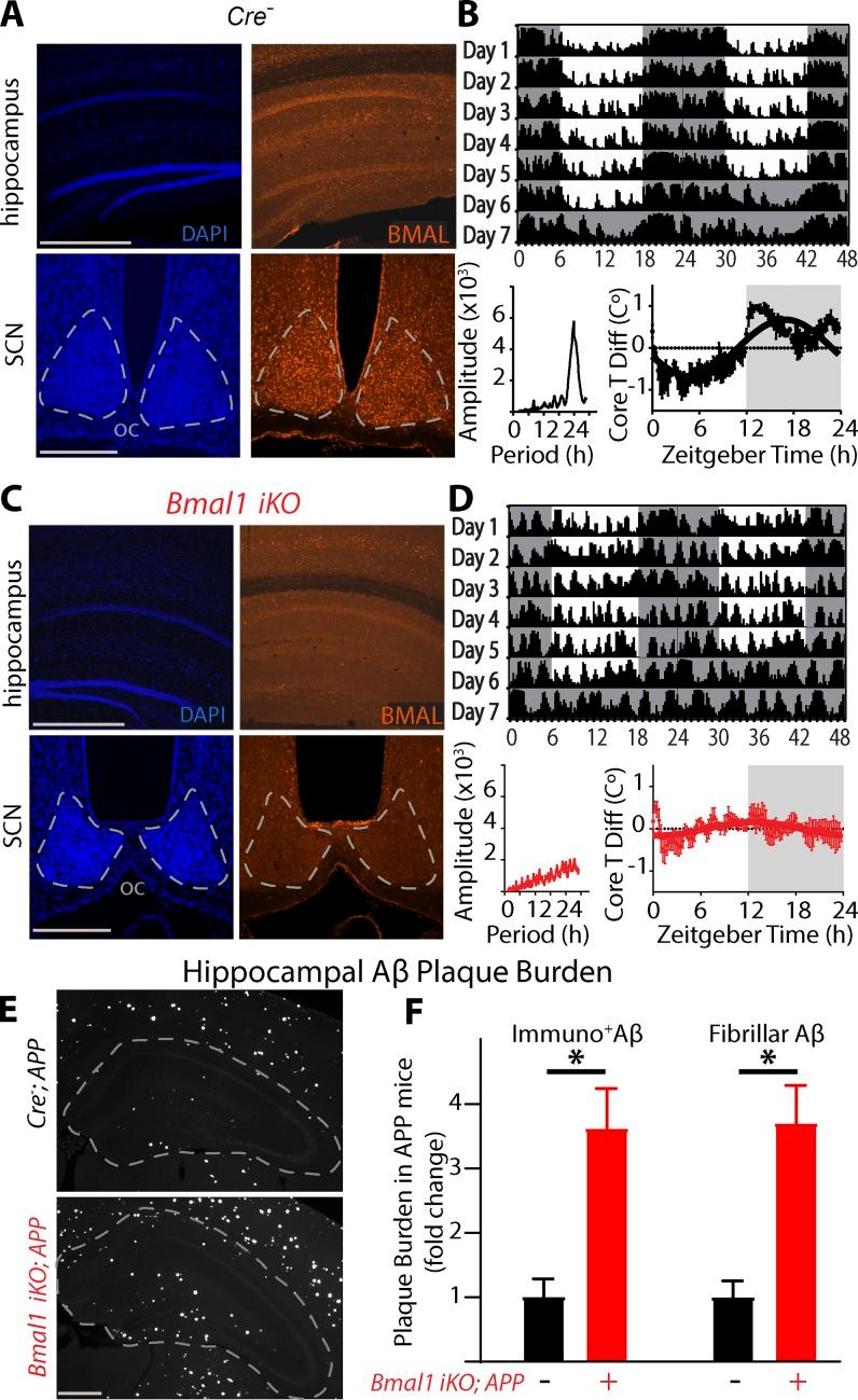 https://cdn.ncbi.nlm.nih.gov/pmc/blobs/64f5/5881473/2e2835c499d9/JEM_20172347_Fig4.jpg