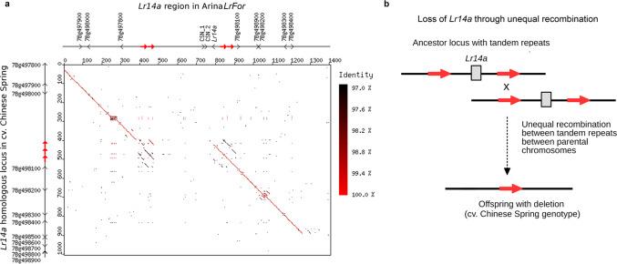 https://cdn.ncbi.nlm.nih.gov/pmc/blobs/64f6/7878491/4b2572fd141b/41467_2020_20777_Fig3_HTML.jpg