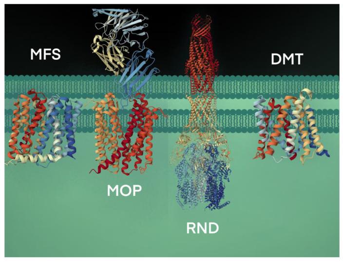 https://cdn.ncbi.nlm.nih.gov/pmc/blobs/64fa/10604125/ef93fe10b1c1/biology-12-01336-g002.jpg