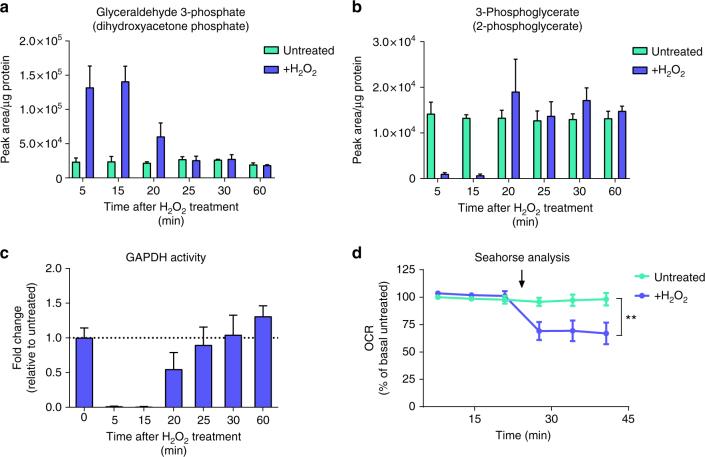 https://cdn.ncbi.nlm.nih.gov/pmc/blobs/64fb/5910380/f333d970829c/41467_2018_4003_Fig6_HTML.jpg