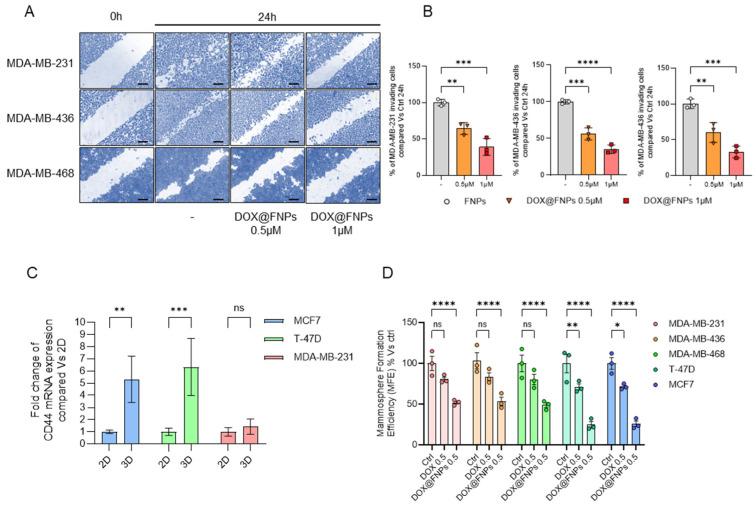 https://cdn.ncbi.nlm.nih.gov/pmc/blobs/64fe/11477043/455b06c0166d/ijms-25-10560-g004.jpg